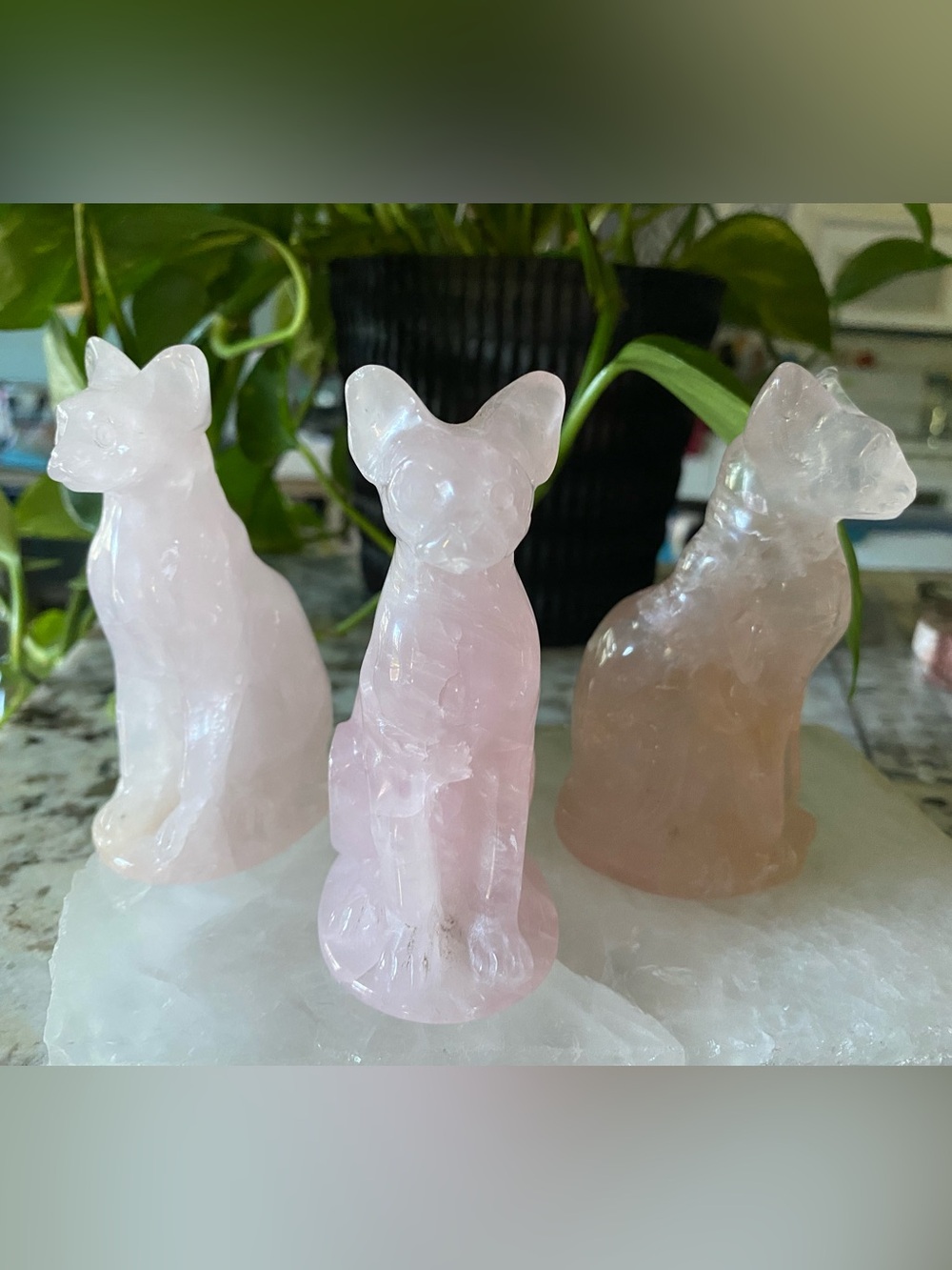🐈‍⬛💕 4” Rose Quartz Sphinx Cats 💕🐈‍⬛